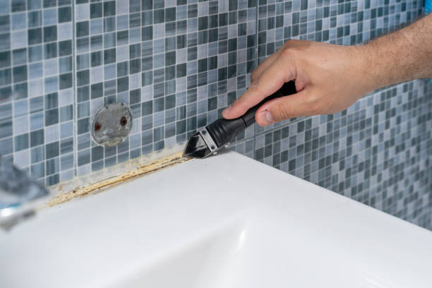 Best White Mold Remediation in Gaffney, SC