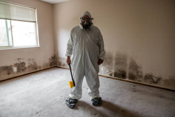 Best HVAC Mold Remediation in Gaffney, SC